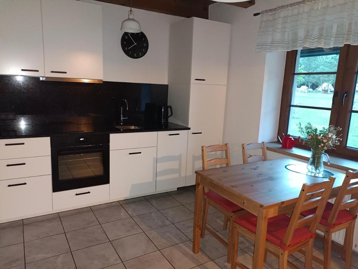 Domek Caloroczny Na Kaszubach Blizniak Lipusz Extérieur photo